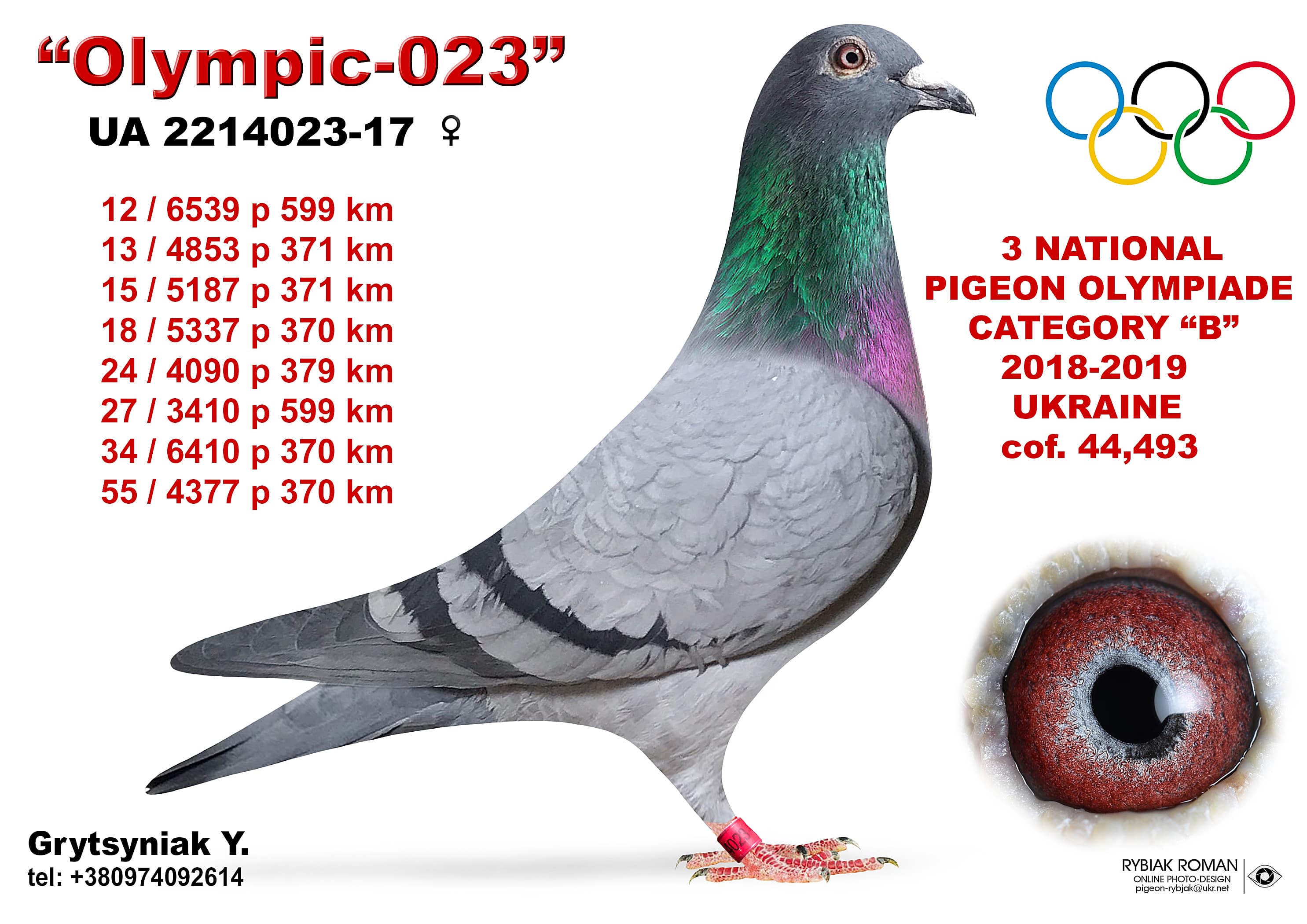 2019-B3